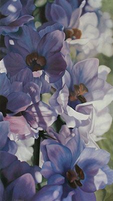 Blue Delphinium