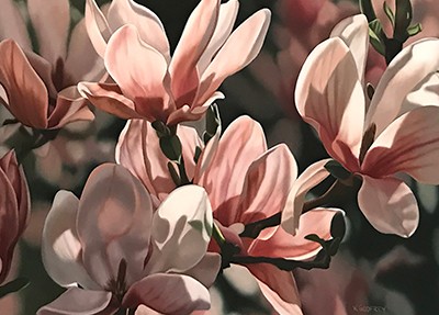 Saucer Magnolia Oil Painting
