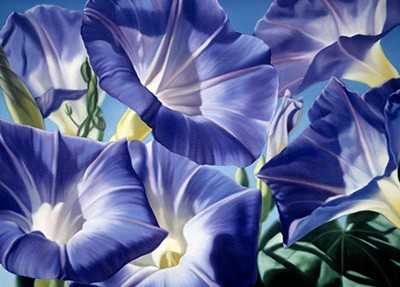 Blue Morning Glories Oil Painting