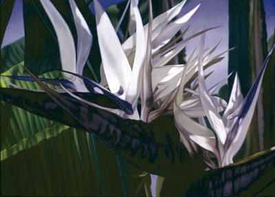 White Bird of Paradise