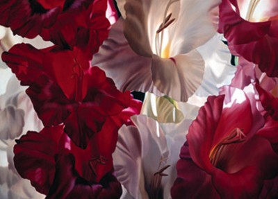 Multicolored Gladioli