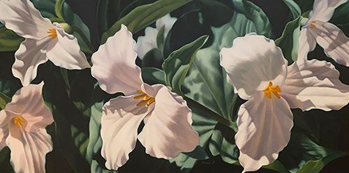 Trillium Oil Painting