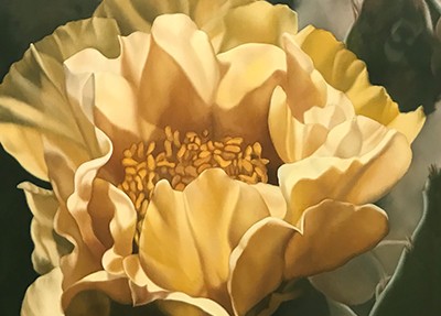 Cactus Blossom Oil Painting