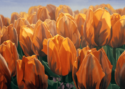 Daylilies