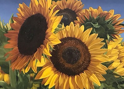 Sunflowers Oil Painting