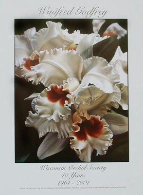 2001 White Catteyas Poster