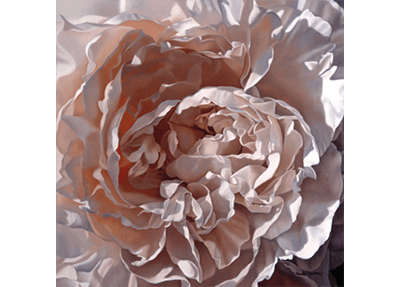 Peony Oil Painting